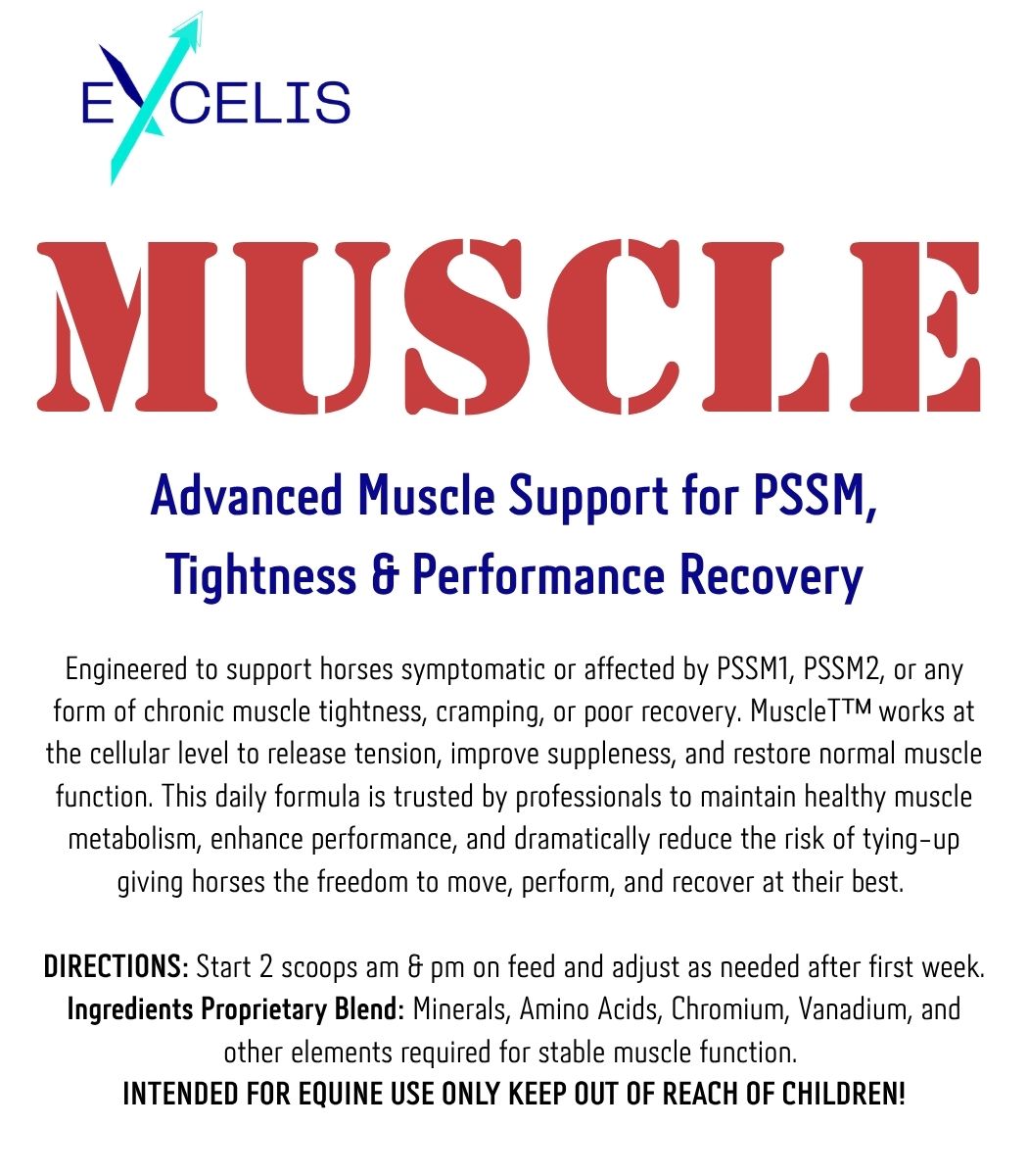 Excelis MUSCLE  – 1kg Equine Muscle Support Formula