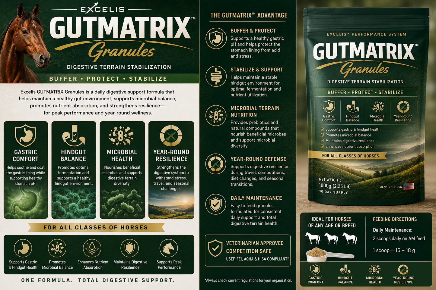 GUTMATRIX™ Granules — Concentrated Gastric & Hindgut Stabilization