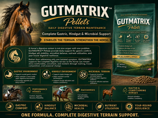 GUTMATRIX™ Pellets — Complete Gastric, Hindgut & Microbial Support