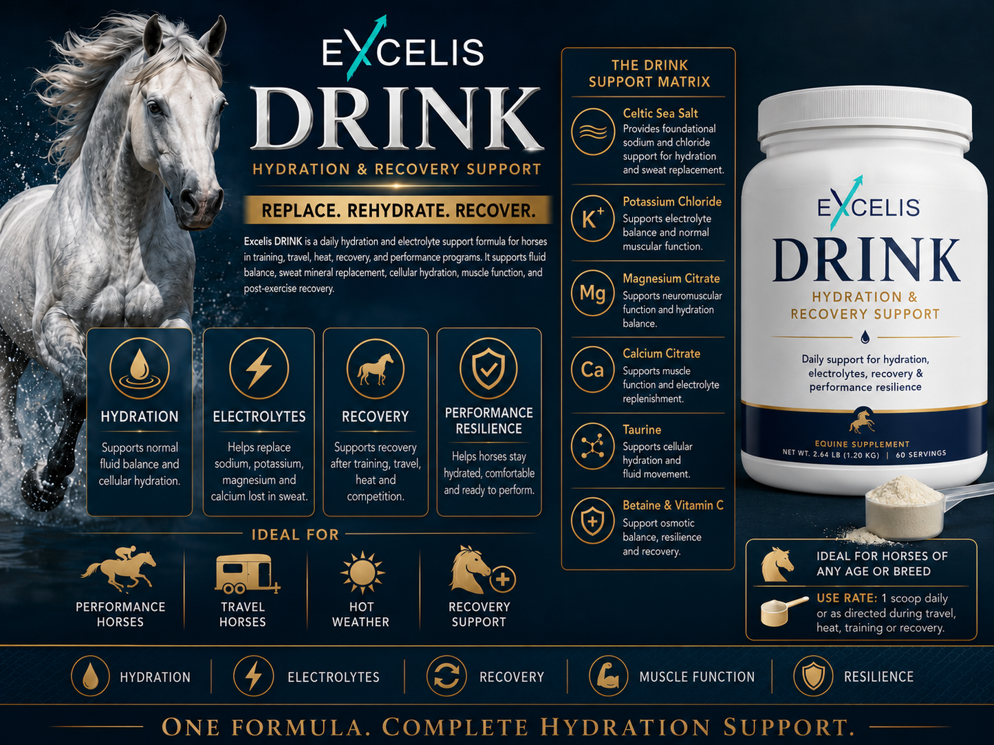 Excelis DRINK™ — Complete Hydration & Recovery Support (Copy)