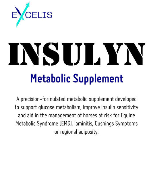 Insulyn - Metabolic Supplement