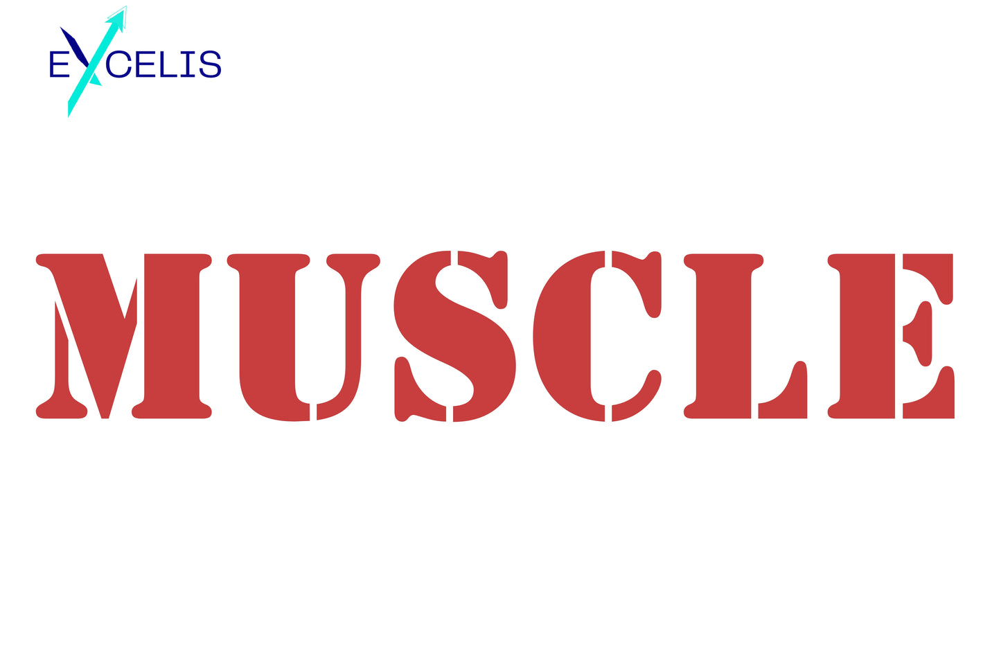 Excelis MUSCLE  – 1kg Equine Muscle Support Formula