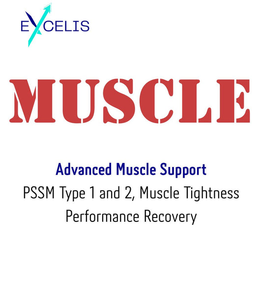 Excelis MUSCLE  – 1kg Equine Muscle Support Formula